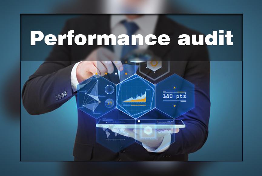 Performance Audit