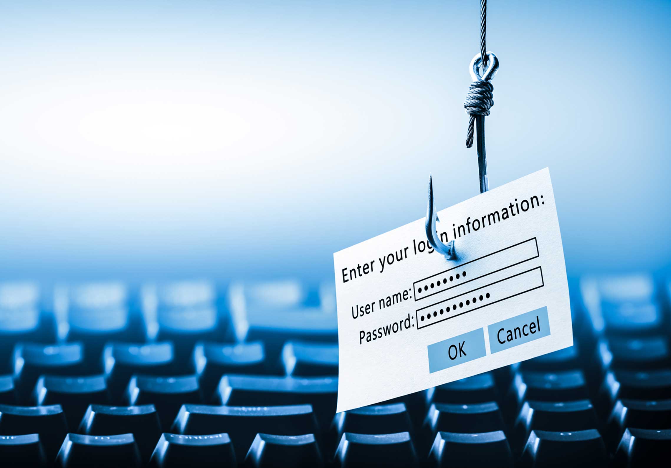 Phishing Simulation Training
