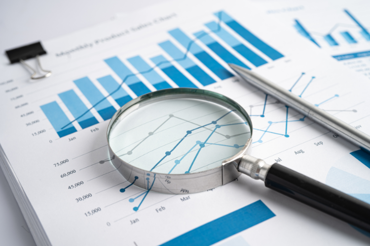 Forensic Audit